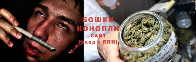 сколько стоит  Боготол  Шишки марихуана White Widow 